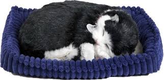 Perfect petzzz dogs and cats that breathe 40 breeds available. Bol Com Perfect Petzzz Zwart Witte Kitten
