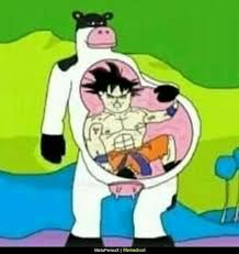 Its Cursed Time Funny Memes Stupid Memes Funny Images