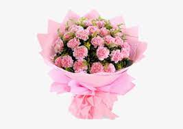 Maybe you would like to learn more about one of these? Pink Carnation Roses Flower Bouquet Delivery Candy Carnation Bouquet Transparent Png 500x500 Free Download On Nicepng