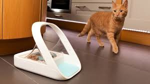 Gamelle Pour Chat Avec Detection De Puce Electronique Gamelle Chat Accessoires Pour Animaux Et Chouchou