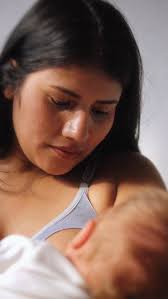 Flowers are already beautiful in visible light, but that doesn't mean there  isn't more to see. Using a technique called ultraviolet-induced visible  fluorescence photography, or UVIVF, photographer Craig Burrows is able to