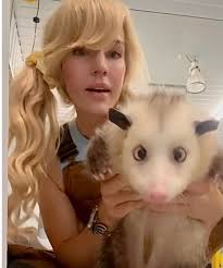 message #me #possum #opossum #possums #opossums #animals #love #girls  #instagood #instalike #us #miss #possumsofinstagram #opossumsofinstagram  #yolo #mood #vibes #smile #instamood