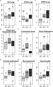 Prato (italia) · linea fissa. Frontiers Vegetation Ph And Water Content As Main Factors For Shaping Fungal Richness Community Composition And Functional Guilds Distribution In Soils Of Western Greenland Microbiology