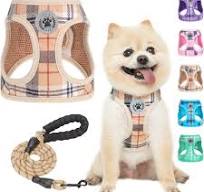 No-Pull Dog Harness And Leash Set - Reflective Step-In Vest For Small Dogs  & Puppies