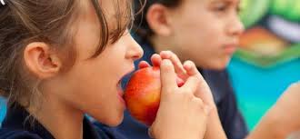 Behavioral Health 101: Exploring Best Practices for Behavioral Health in  Schools