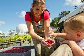 Ocean Spray Treats Epcot Guests To A Healthy Dose Of Cranberry At The 18th Annual Epcot International Food Wine Festival Business Wire