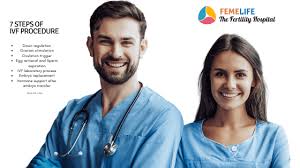 Ivf Process Video Femelife