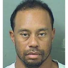 Barnaby Johnson (@johnson_barnaby)