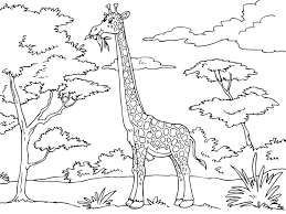 Show your kids a fun way to learn the abcs with alphabet printables they can color. 12 Giraffe Coloring Pages Free Printable Coloring Pages