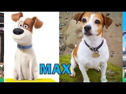 Did You Know That You Can Shop For All Of Your Pets Needs Here At These Online Super Shopping Malls With Over 4000 Secret Life Of Pets Pets Movie Secret Life