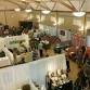 Holistic Festival
