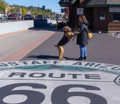 How far am i from flagstaff. Our Favorite Dog Friendly Destination Discover Flagstaff