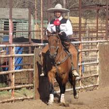 An actor trying to find my way, a sports fan, and a foodie. Gustavo Escobar Jr Gusescobarjr Twitter