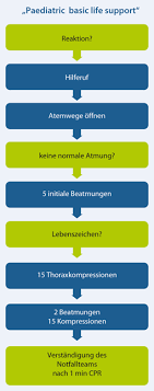 There is concern that resuscitation from cardiac arrest is not performed as well as it might because the variations. Lebensrettende Massnahmen Bei Kindern Paediatric Life Support Springerlink