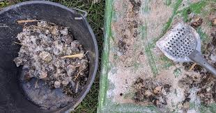 Peut servir pour la pêche à la truite car de sont de très petits vers. Peut On Mettre Des Fientes Avec Terre De Diatomee Dans Le Compost Ou Jardin Mes Poules