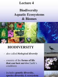 Biodiversity Biodiversity Aquatic Ecosystem Ecosystems