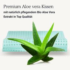 Jetzt aloe vera kaufen im onlineshop von dehner sukkulente zimmerpflanze mit markanten, fleischigen blättern beliebte heilpflanze bei brandwunden und hautausschlag ältere exemplare entwickeln von märz bis mai gelbe blüten steht im sommer gerne auf balkon oder terrasse in verschiedenen größen erhältlich Nackenstutzkissen Von Seven Sundays á… Jetzt Online Kaufen