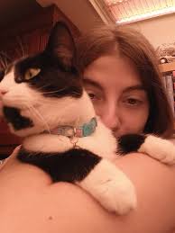 UPDATE she has been found! Hi all. My little kitty girl has gone missing.  Shes silky black with a small white mark