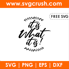 Especially serious with the yy! Svgcrush Free Quotes Svg