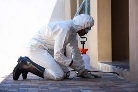 Instead, pest control and rodent removal in blue ridge, ga need to be approached in an individualized way, to ensure your property is while some pest control companies in north georgia may only serve residential or commercial properties exclusively, we have the ability to. Home Pest Control In Blue Ridge Ga Rodent Removal