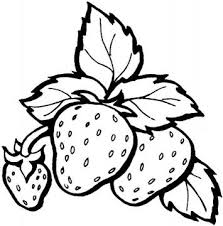 Three Strawberries Coloring Page Super Coloring Fruit Coloring Pages Free Coloring Pages Free Printable Coloring Pages