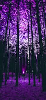 It is a 6k image and is square. Nn90 Wood Mountain Nature Purple Night Wallpaper