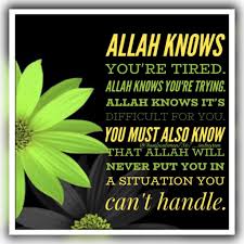 Pin On Islamic Quotes