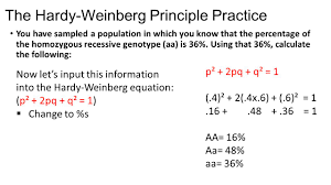 P2 + 2pq + q2 = 1 p & q represent the frequencies for each allele. The Hardy Weinberg Equation Worksheet Answers Worksheet List