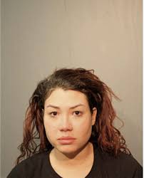 ᐅ Illinois Criminal Records 2009-2025