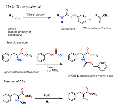 Protecting Groups For Amines Carbamates Master Organic Chemistry
