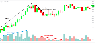 The latest tweets from @emperorbtc A Thread From Emperorbtc Master Class On Volume For Trading Bitcoin This Is 1st Module To The Most Comprehensive Real World Guide
