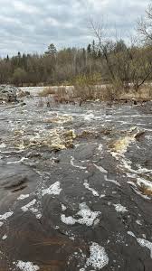 Have you ever seen the Sturgeon run? Come check out this amazing annual run  of the Sturgeon at the Big Falls Campground!!