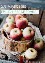 Cuisiner Les Epluchures De Pommes Astuce Antigapi Recette Chips De Pomme Recette De Chips Comment Faire Des Chips