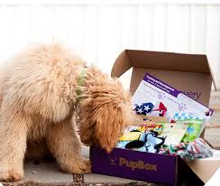Check spelling or type a new query. 10 Best Dog Subscription Boxes Of 2020
