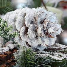 How To Make Snow Covered Pine Cones An Ultimate Guide Frosted Christmas Tree Pine Cone Christmas Decorations Christmas Pine Cones