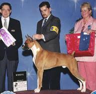 Dale mihalko of meridian bull, in st. Dale Mihalko Of Meridian Bull In St Petersburg Fl 066159879086 Rep 2401105050 Pdf Business 6849 3rd St N Was Last Sold On Aug 5 2019 For 222 000 99 Higher Than The Asking Price Of 1 340