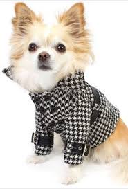 Pin On Luxury Beauty For Dog Odezhda Dlya Sobak