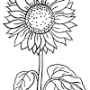 See the presented collection for marigold coloring. 1