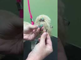 How To Put In Ear Bows Youtube