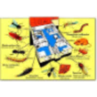 Yp canada provides business information listings related to pest control services across canada. Affordable Pest Management Linkedin