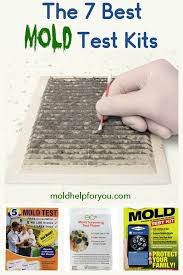 The 7 Best Mold Test Kits Home Mold Test Molding Mold Kit