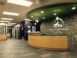 Barnard college, a women's college affiliated with columbia university, is located in new york city's manhattan borough. South Bay Adobe Animal