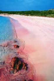 Budelli is an island in the maddalena archipelago, near the strait of bonifacio in northern sardinia, italy. Budelli Beach The Pink Beach Sardegna Italy Places To Travel Beaches In The World Places To Visit