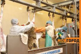 Mathematical modeling of multicomponent beverages with a balanced composition of nutrients. Ob Itogah Programmy Agrobiznes 2020 Rasskazali V Upravlenii Selskogo Hozyajstva Zko Novosti Uralska Aktobe Atyrau