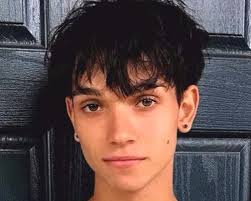 Lucas and marcus were known as vine stars called twinbotz. Lucas Dobre Biography Age Height Net Worth Wiki Family More