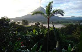 Visit selvatura to learn all about nature from the experts — there are butterfly and hummingbird gardens full of flowers. Top 9 Places To Visit In Costa Rica With Family My Beautiful Adventures