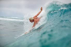 Image result for foto surfínie