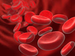Image result for Anemia