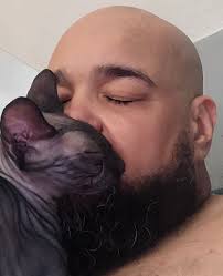 I believe we can all identify with this😺😸😻😽