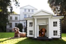 Sammlung von steffi schweitzer • zuletzt aktualisiert: Hunde Haus